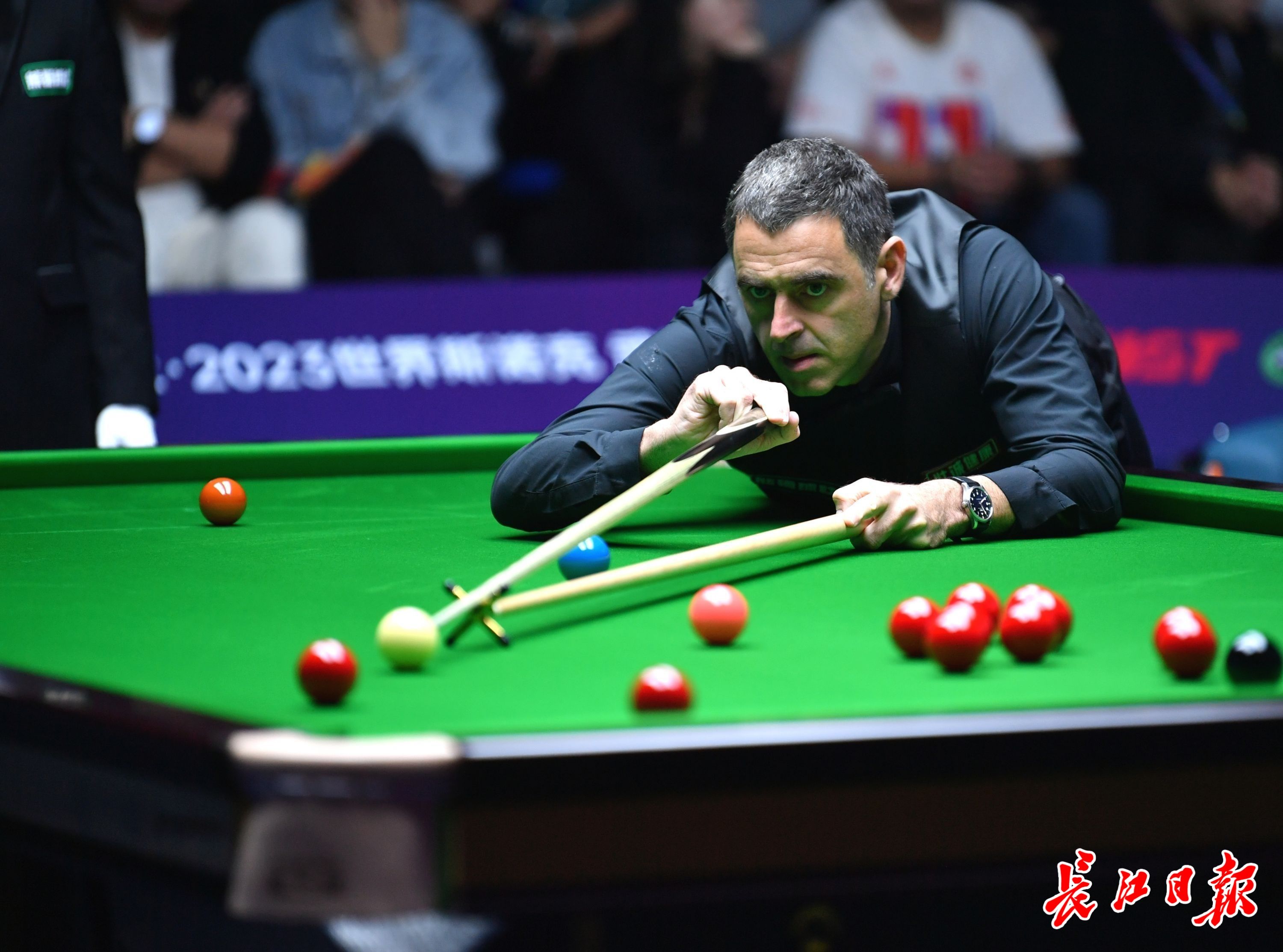 早已成为俱 早已成为俱