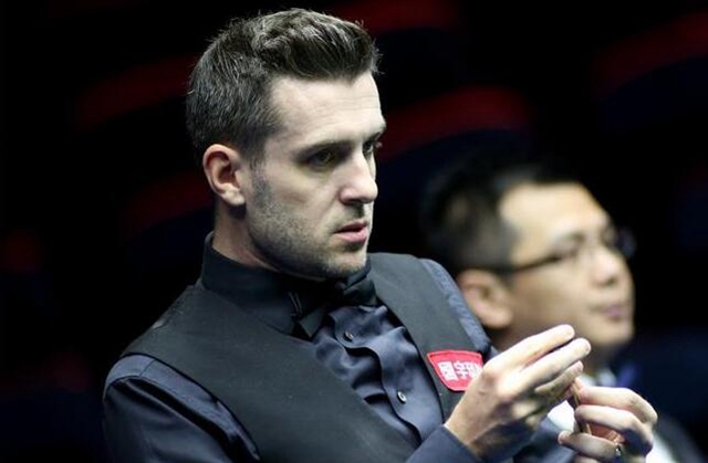 文化的集体 文化的集体